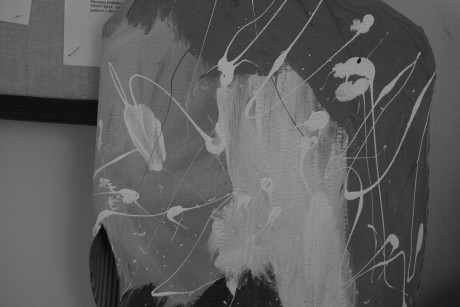 558887881_1402450565036771_1981019354244981393_n